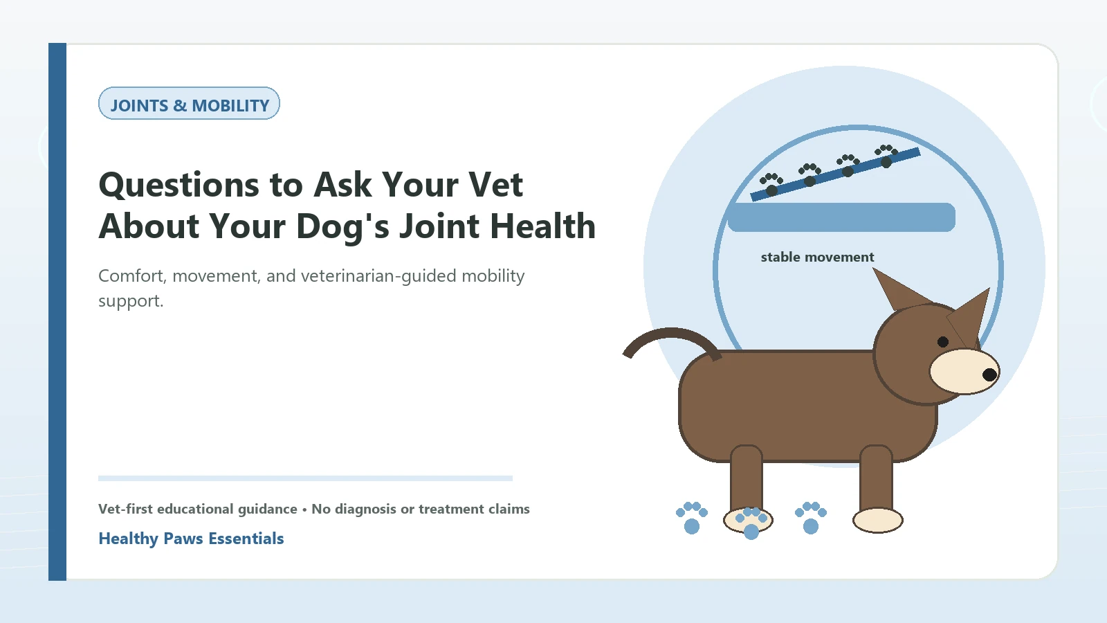 Custom Healthy Paws Essentials illustration for Questions to Ask Your Vet About Your Dog's Joint Health, showing a dog and a vet-first care planning concept.