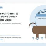 Custom Healthy Paws Essentials illustration for Canine Osteoarthritis: A Comprehensive Owner Information Guide, showing a dog and a vet-first care planning concept.