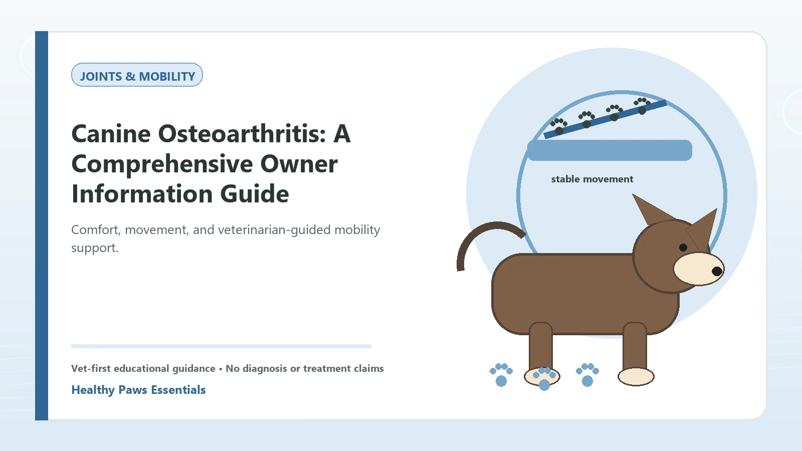 Custom Healthy Paws Essentials illustration for Canine Osteoarthritis: A Comprehensive Owner Information Guide, showing a dog and a vet-first care planning concept.