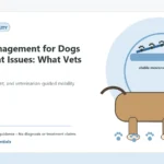 Custom Healthy Paws Essentials illustration for Pain Management for Dogs with Joint Issues: What Vets Consider, showing a dog and a vet-first care planning concept.