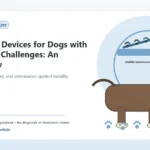 Custom Healthy Paws Essentials illustration for Assistive Devices for Dogs with Mobility Challenges: An Overview, showing a dog and a vet-first care planning concept.