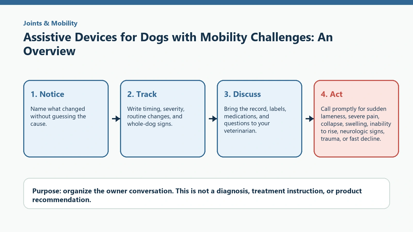 Decision pathway for Assistive Devices for Dogs with Mobility Challenges: An Overview.