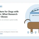 Custom Healthy Paws Essentials illustration for Acupuncture for Dogs with Joint Pain: What Research Currently Shows, showing a dog and a vet-first care planning concept.