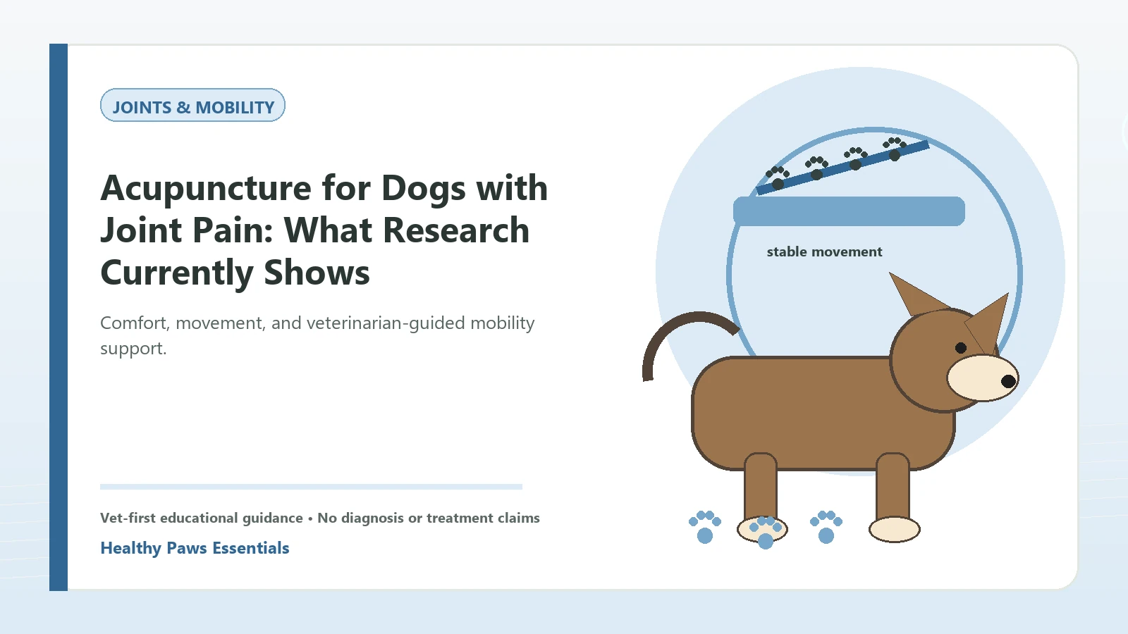 Custom Healthy Paws Essentials illustration for Acupuncture for Dogs with Joint Pain: What Research Currently Shows, showing a dog and a vet-first care planning concept.
