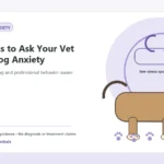 Custom Healthy Paws Essentials illustration for Questions to Ask Your Vet About Dog Anxiety, showing a dog and a vet-first care planning concept.