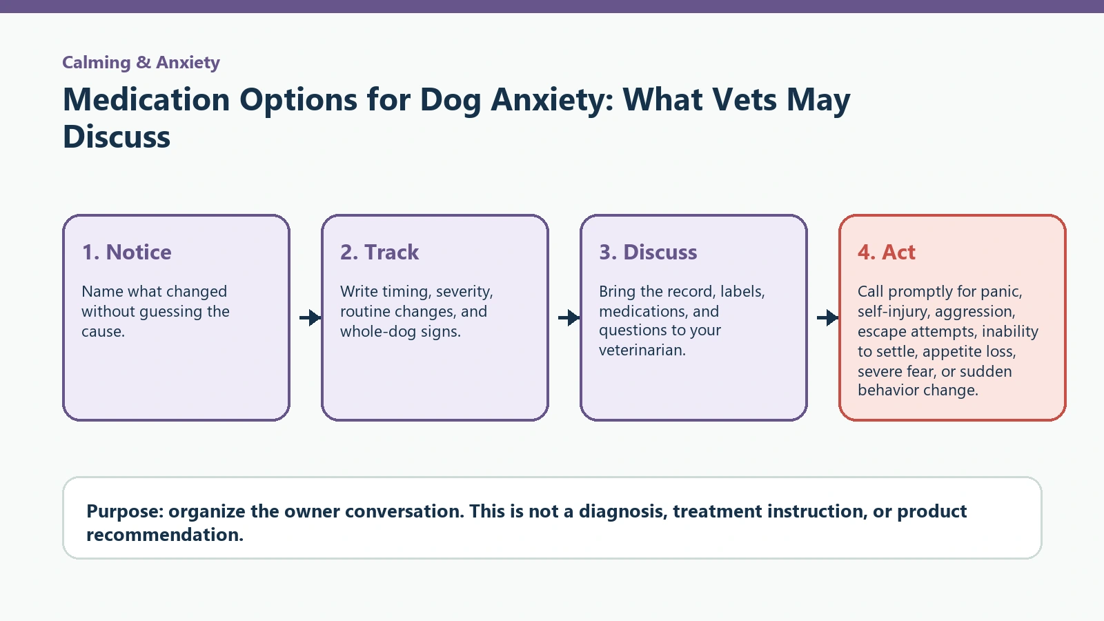 Decision pathway for Medication Options for Dog Anxiety: What Vets May Discuss.
