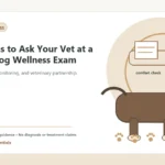 Custom Healthy Paws Essentials illustration for Questions to Ask Your Vet at a Senior Dog Wellness Exam, showing a dog and a vet-first care planning concept.