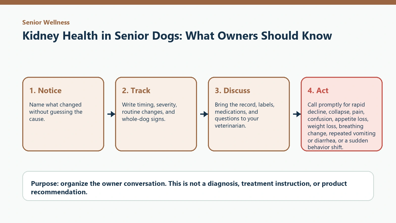 Decision pathway for Kidney Health in Senior Dogs: What Owners Should Know.