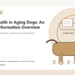 Custom Healthy Paws Essentials illustration for Heart Health in Aging Dogs: An Owner Information Overview, showing a dog and a vet-first care planning concept.