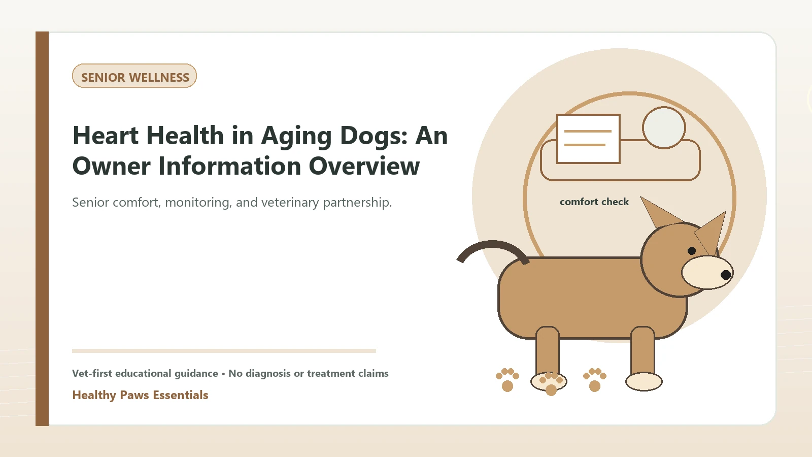 Custom Healthy Paws Essentials illustration for Heart Health in Aging Dogs: An Owner Information Overview, showing a dog and a vet-first care planning concept.