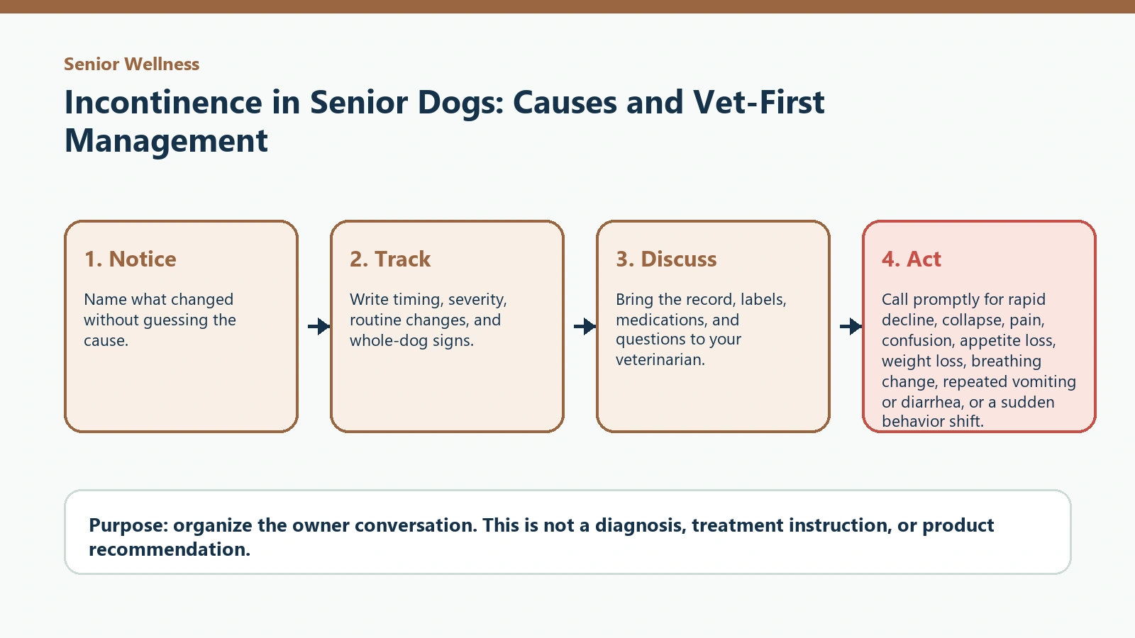 Decision pathway for Incontinence in Senior Dogs: Causes and Vet-First Management.