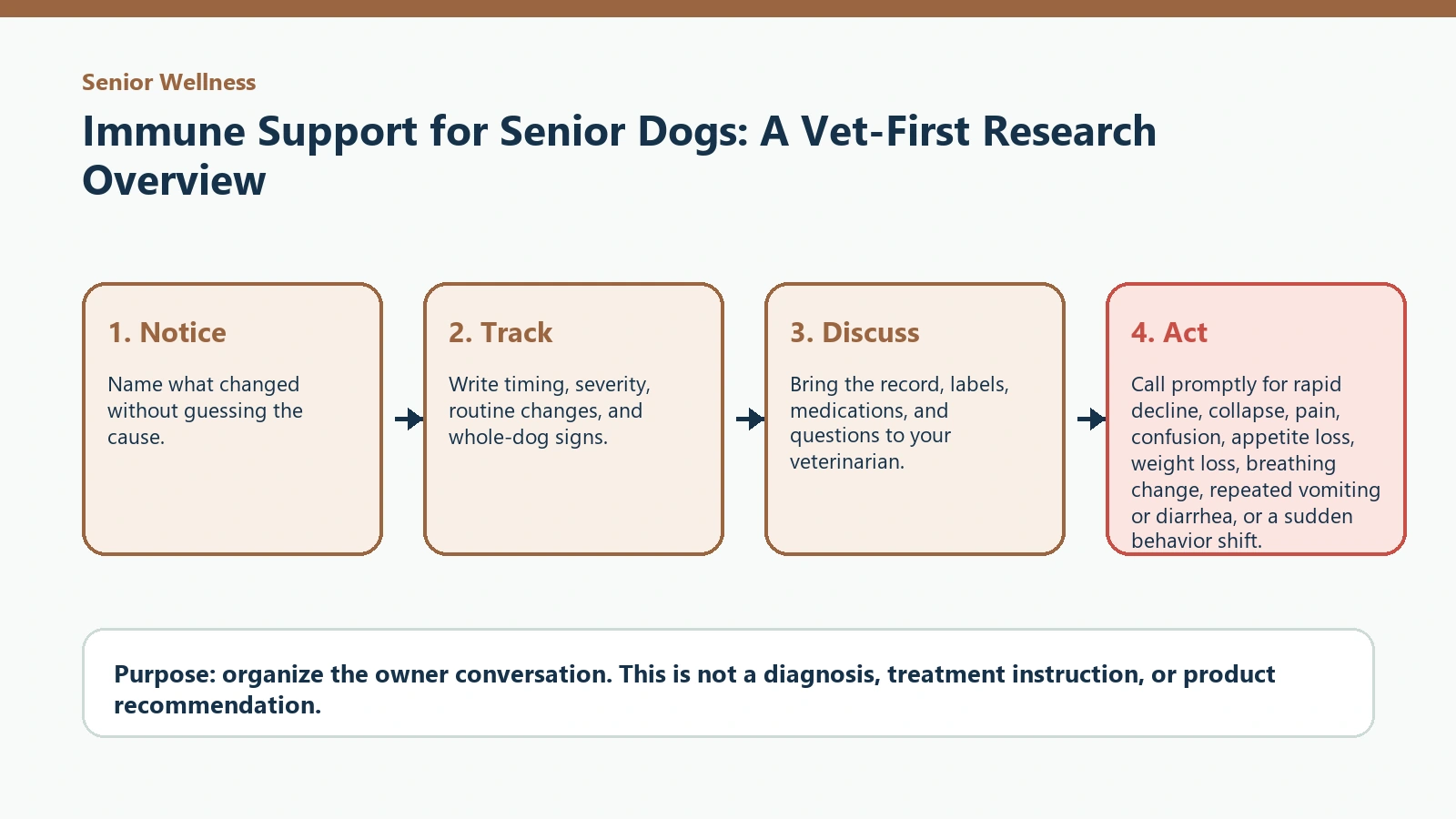 Decision pathway for Immune Support for Senior Dogs: A Vet-First Research Overview.