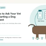 Custom Healthy Paws Essentials illustration for Questions to Ask Your Vet Before Starting a Dog Supplement, showing a dog and a vet-first care planning concept.