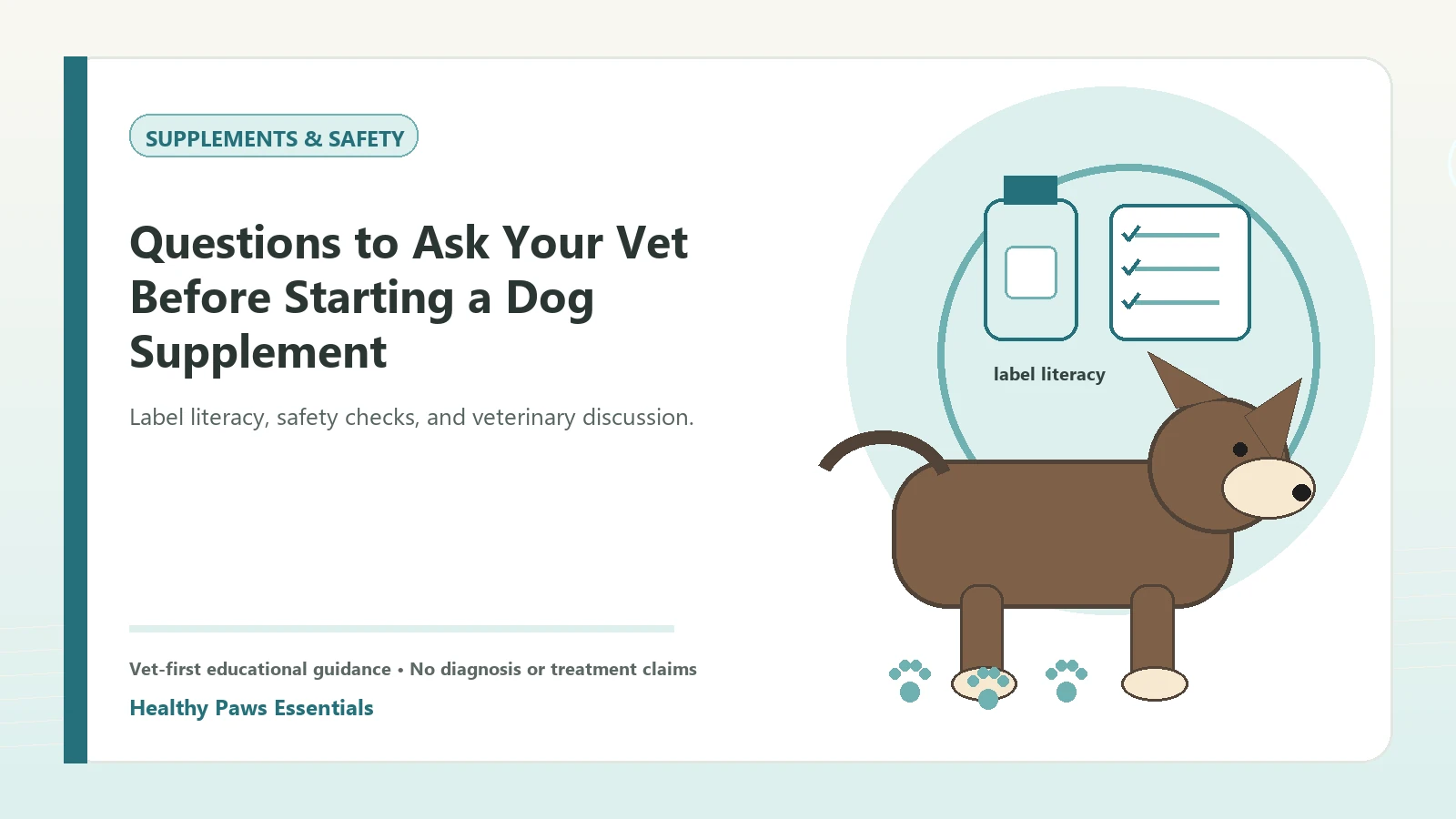 Custom Healthy Paws Essentials illustration for Questions to Ask Your Vet Before Starting a Dog Supplement, showing a dog and a vet-first care planning concept.
