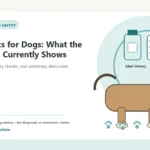 Custom Healthy Paws Essentials illustration for Probiotics for Dogs: What the Research Currently Shows, showing a dog and a vet-first care planning concept.