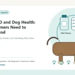 Custom Healthy Paws Essentials illustration for Vitamin D and Dog Health: What Owners Need to Understand, showing a dog and a vet-first care planning concept.