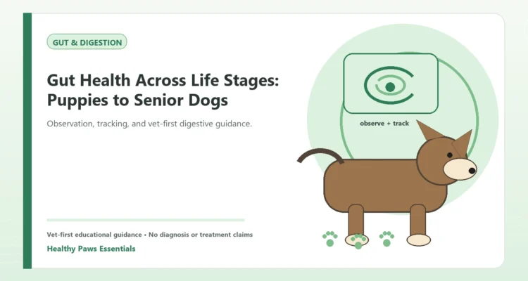 Custom Healthy Paws Essentials illustration for Gut Health Across Life Stages: Puppies to Senior Dogs, showing a dog and a vet-first care planning concept.