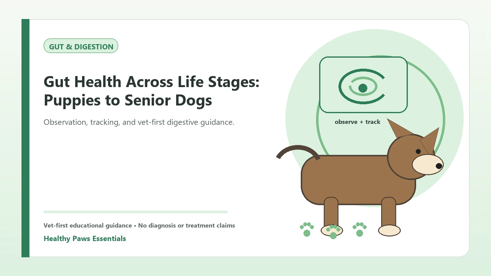 Custom Healthy Paws Essentials illustration for Gut Health Across Life Stages: Puppies to Senior Dogs, showing a dog and a vet-first care planning concept.