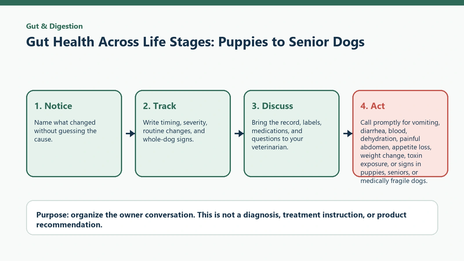 Decision pathway for Gut Health Across Life Stages: Puppies to Senior Dogs.