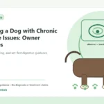 Custom Healthy Paws Essentials illustration for Managing a Dog with Chronic Digestive Issues: Owner Strategies, showing a dog and a vet-first care planning concept.