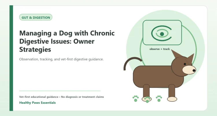 Custom Healthy Paws Essentials illustration for Managing a Dog with Chronic Digestive Issues: Owner Strategies, showing a dog and a vet-first care planning concept.