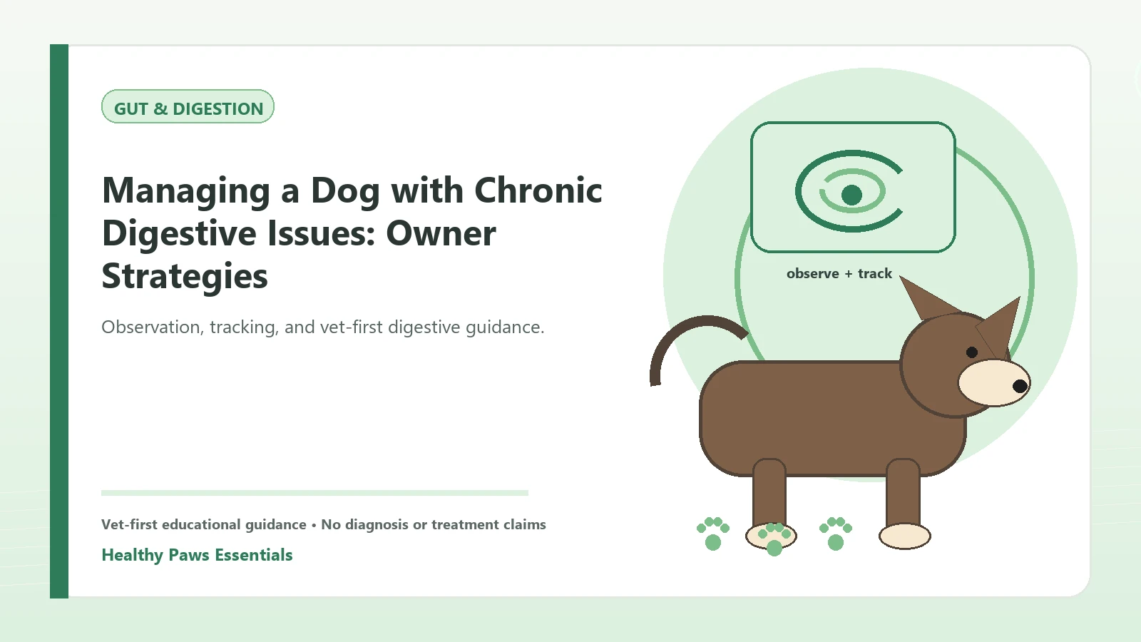 Custom Healthy Paws Essentials illustration for Managing a Dog with Chronic Digestive Issues: Owner Strategies, showing a dog and a vet-first care planning concept.
