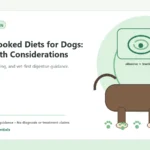 Custom Healthy Paws Essentials illustration for Home-Cooked Diets for Dogs: Gut Health Considerations, showing a dog and a vet-first care planning concept.