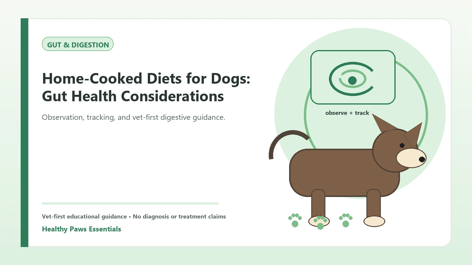 Custom Healthy Paws Essentials illustration for Home-Cooked Diets for Dogs: Gut Health Considerations, showing a dog and a vet-first care planning concept.
