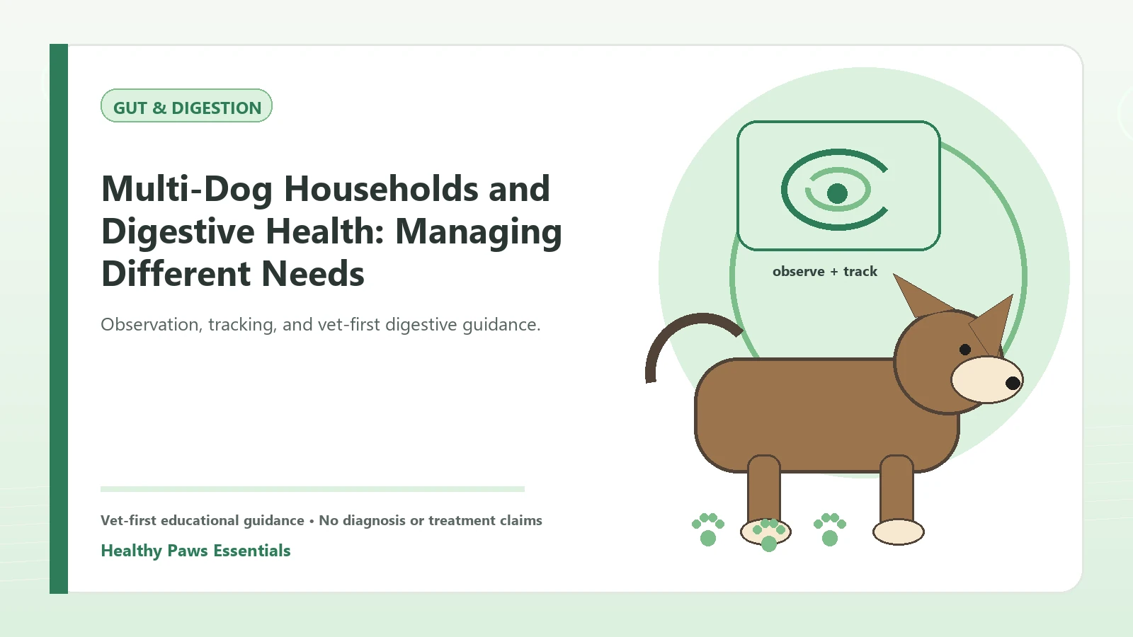 Custom Healthy Paws Essentials illustration for Multi-Dog Households and Digestive Health: Managing Different Needs, showing a dog and a vet-first care planning concept.