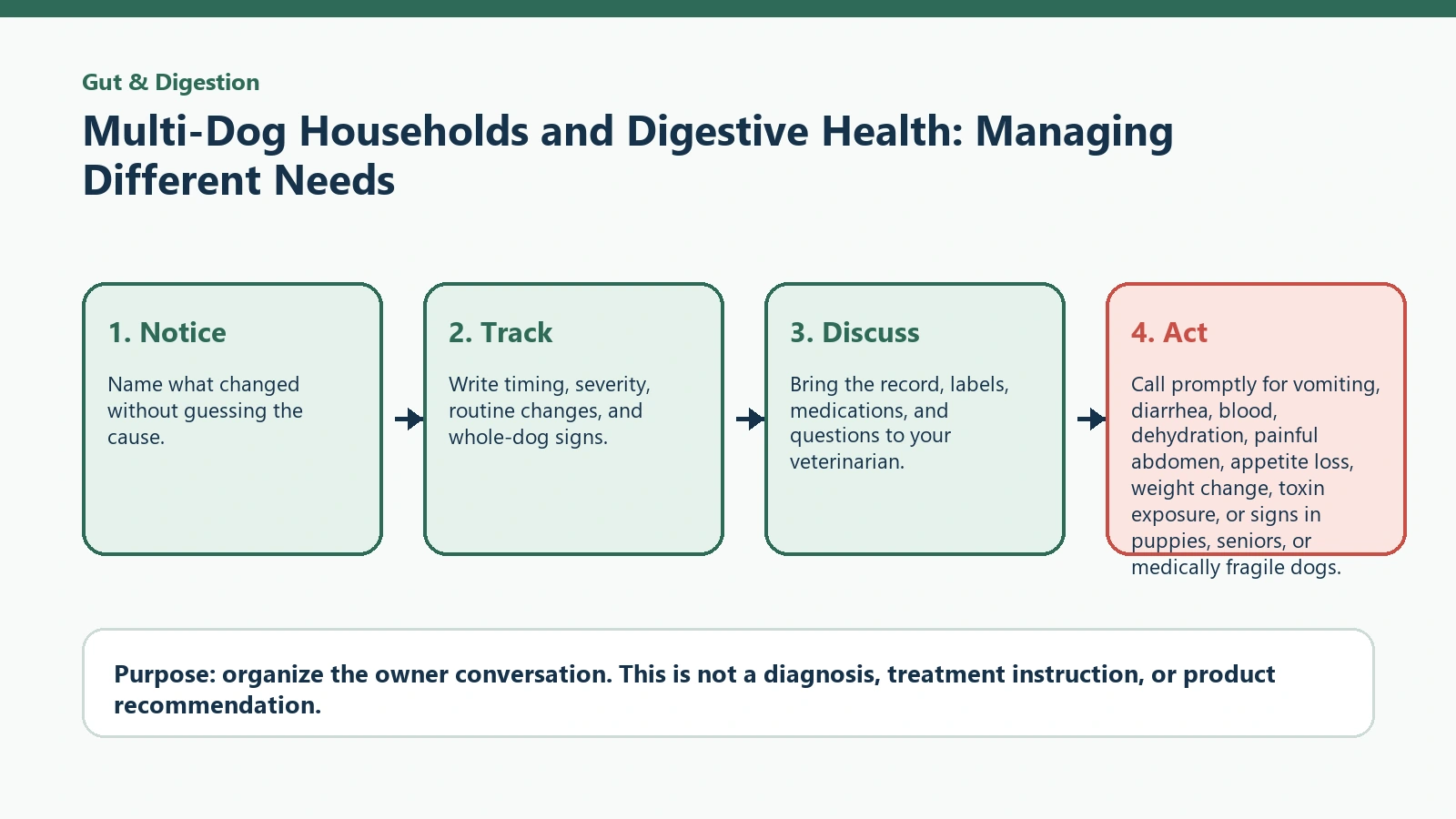 Decision pathway for Multi-Dog Households and Digestive Health: Managing Different Needs.