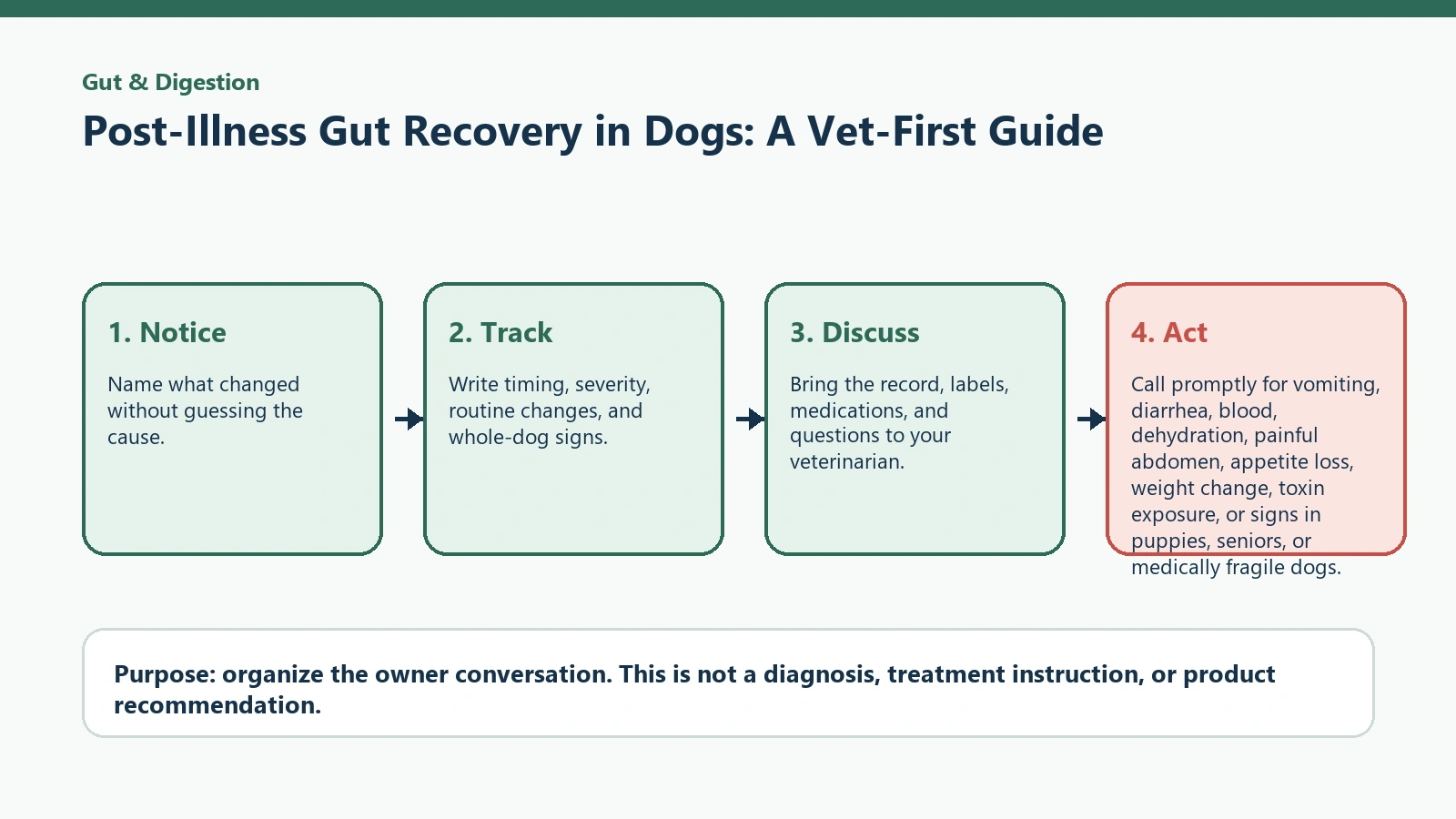 Decision pathway for Post-Illness Gut Recovery in Dogs: A Vet-First Guide.