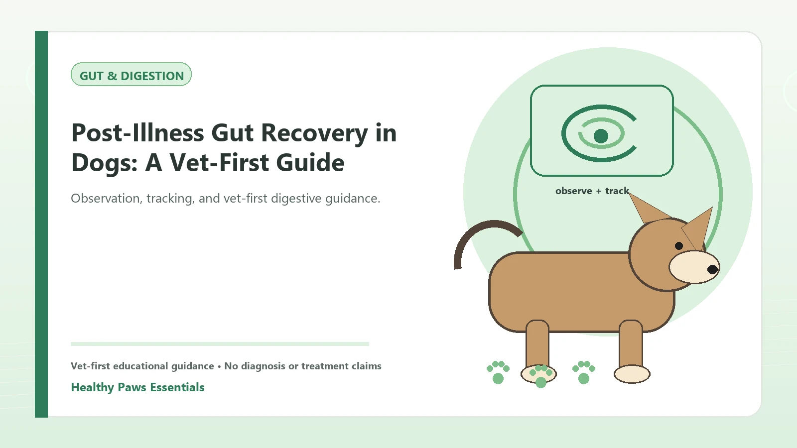 Custom Healthy Paws Essentials illustration for Post-Illness Gut Recovery in Dogs: A Vet-First Guide, showing a dog and a vet-first care planning concept.