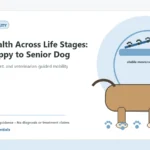 Custom Healthy Paws Essentials illustration for Joint Health Across Life Stages: From Puppy to Senior Dog, showing a dog and a vet-first care planning concept.