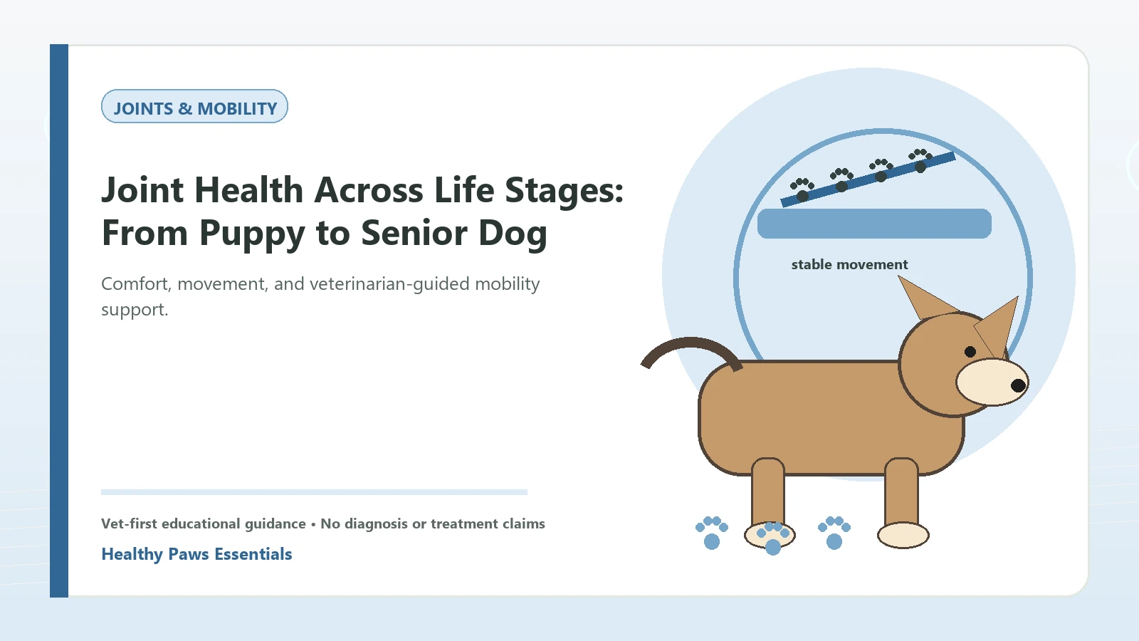 Custom Healthy Paws Essentials illustration for Joint Health Across Life Stages: From Puppy to Senior Dog, showing a dog and a vet-first care planning concept.