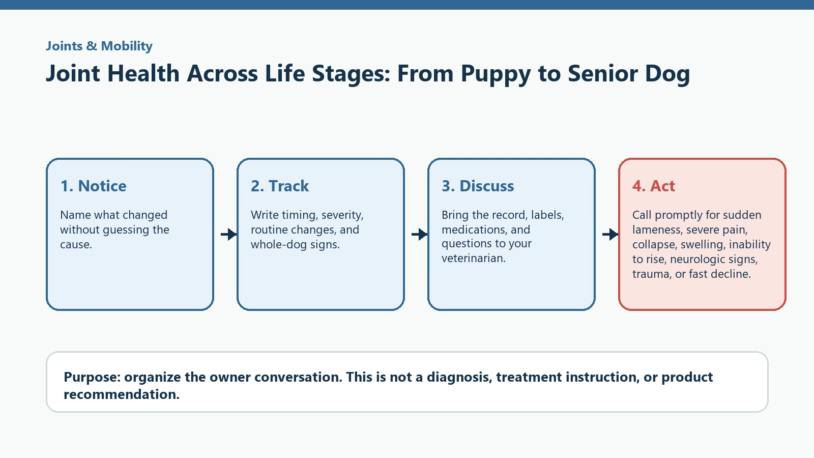 Decision pathway for Joint Health Across Life Stages: From Puppy to Senior Dog.
