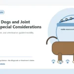 Custom Healthy Paws Essentials illustration for Working Dogs and Joint Health: Special Considerations, showing a dog and a vet-first care planning concept.