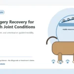 Custom Healthy Paws Essentials illustration for Post-Surgery Recovery for Dogs with Joint Conditions, showing a dog and a vet-first care planning concept.