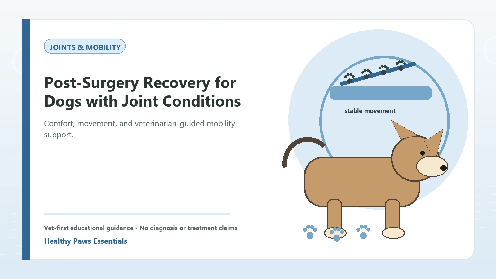 Custom Healthy Paws Essentials illustration for Post-Surgery Recovery for Dogs with Joint Conditions, showing a dog and a vet-first care planning concept.