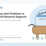 Custom Healthy Paws Essentials illustration for Preventing Joint Problems in Dogs: What Research Supports, showing a dog and a vet-first care planning concept.