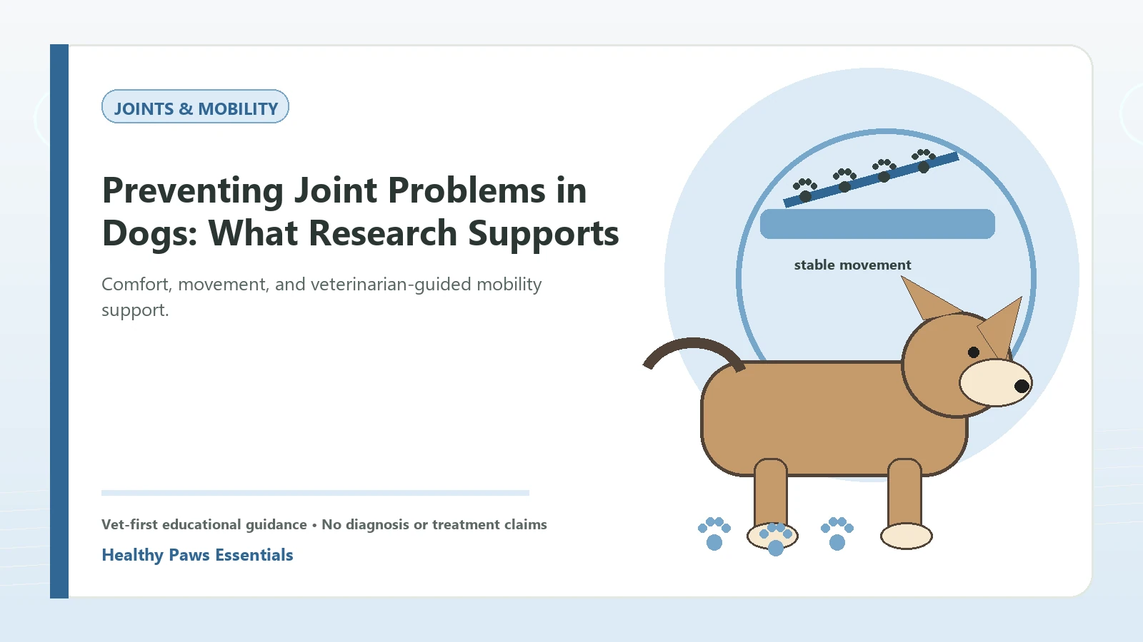 Custom Healthy Paws Essentials illustration for Preventing Joint Problems in Dogs: What Research Supports, showing a dog and a vet-first care planning concept.
