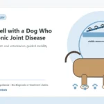 Custom Healthy Paws Essentials illustration for Living Well with a Dog Who Has Chronic Joint Disease, showing a dog and a vet-first care planning concept.