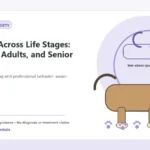 Custom Healthy Paws Essentials illustration for Anxiety Across Life Stages: Puppies, Adults, and Senior Dogs, showing a dog and a vet-first care planning concept.
