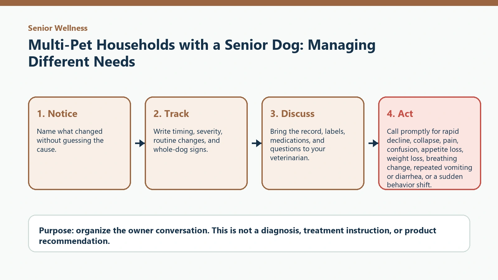 Decision pathway for Multi-Pet Households with a Senior Dog: Managing Different Needs.