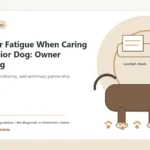 Custom Healthy Paws Essentials illustration for Caregiver Fatigue When Caring for a Senior Dog: Owner Wellbeing, showing a dog and a vet-first care planning concept.