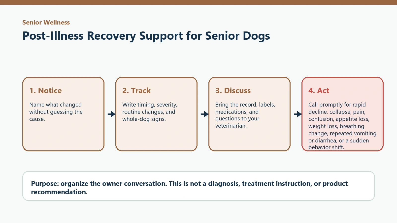 Decision pathway for Post-Illness Recovery Support for Senior Dogs.