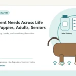 Custom Healthy Paws Essentials illustration for Supplement Needs Across Life Stages: Puppies, Adults, Seniors, showing a dog and a vet-first care planning concept.