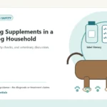 Custom Healthy Paws Essentials illustration for Managing Supplements in a Multi-Dog Household, showing a dog and a vet-first care planning concept.