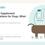 Custom Healthy Paws Essentials illustration for Seasonal Supplement Considerations for Dogs: What Vets Say, showing a dog and a vet-first care planning concept.