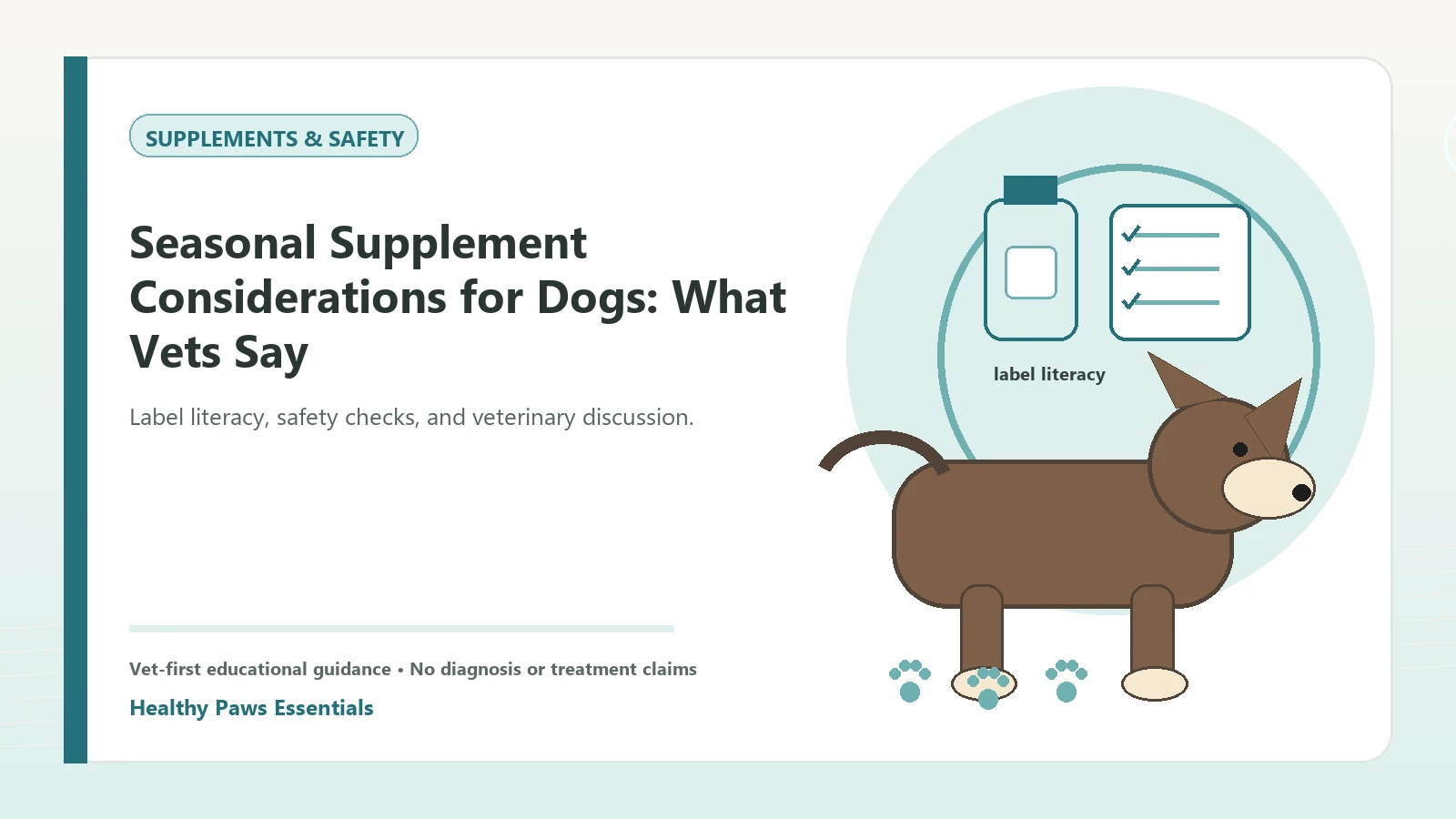 Custom Healthy Paws Essentials illustration for Seasonal Supplement Considerations for Dogs: What Vets Say, showing a dog and a vet-first care planning concept.