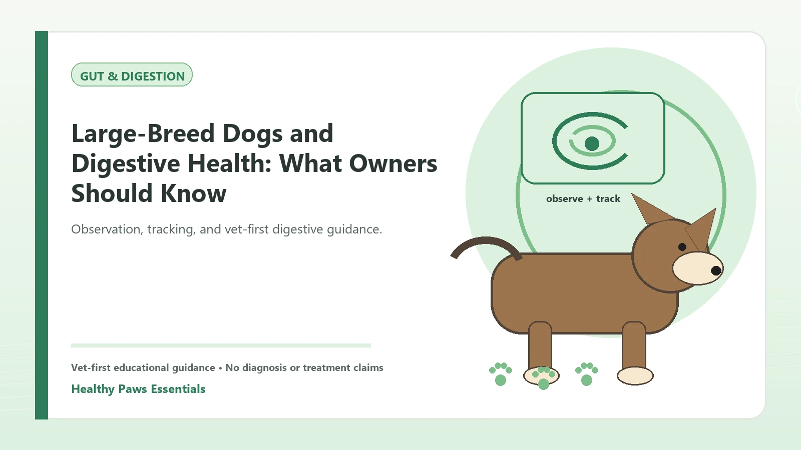 Custom Healthy Paws Essentials illustration for Large-Breed Dogs and Digestive Health: What Owners Should Know, showing a dog and a vet-first care planning concept.